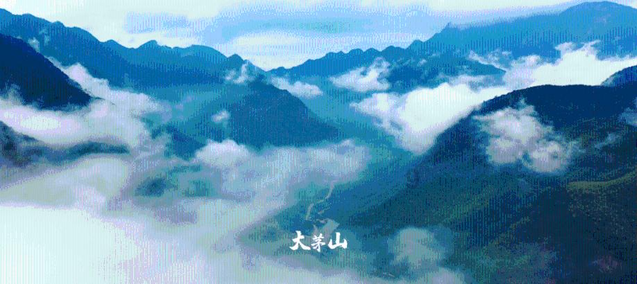 探索用老公手机卡装到自己手机老公可以看到什么?- 红迪网平台